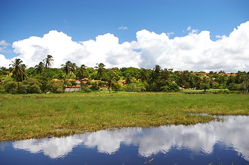 Image showing Brazilian Landscape