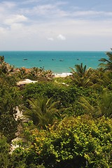 Image showing Palmforest on Beach