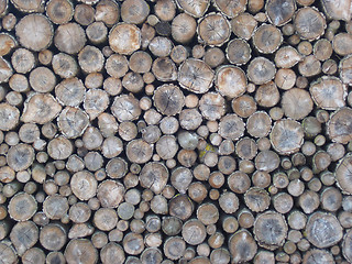 Image showing firewood natural texture