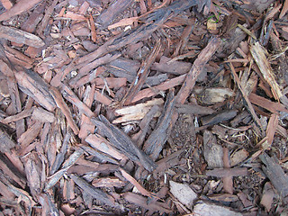 Image showing bark pieces texture