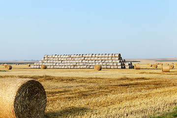 Image showing stack of straw in the field