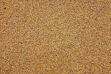 Image showing Corn seeds, close-up