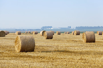 Image showing stack of straw in the field