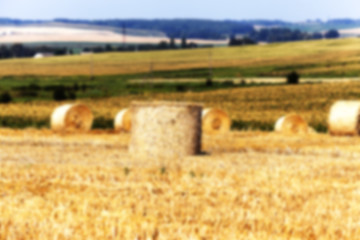 Image showing agriculture, not in focus