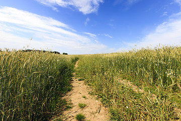 Image showing no paved road