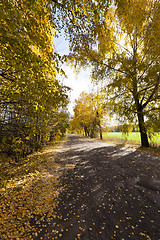 Image showing autumn foliage and rural road,