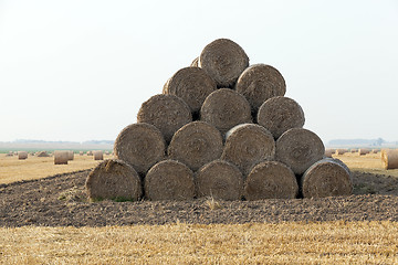 Image showing stack of straw in the field