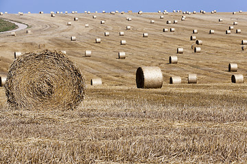 Image showing haystacks in a field of straw