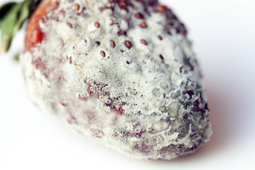 Image showing Strawberry with mold