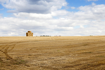 Image showing stack of wheat straw