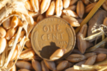 Image showing coin in the straw