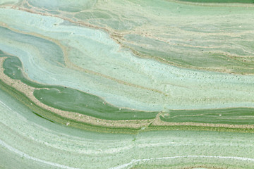 Image showing Water in the swamp