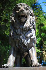 Image showing Jesenik Spa Statue - Lion