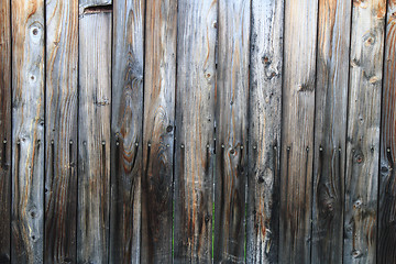 Image showing abstract wooden texture