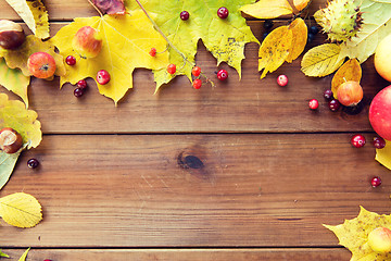 Image showing frame of autumn leaves, fruits and berries on wood