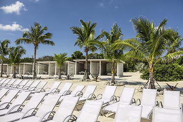 Image showing Tropical beach