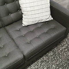 Image showing Sofa, rug and cushion in the shades of gray