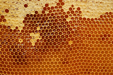 Image showing honeycomb texture with honey