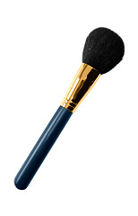 Image showing Brush for powder