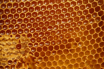 Image showing honeycomb texture with honey