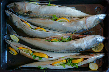 Image showing raw mackerel fishes with lemon