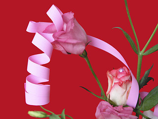 Image showing Romantic Rose