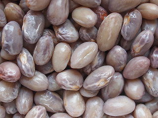 Image showing Crimson beans legumes vegetables