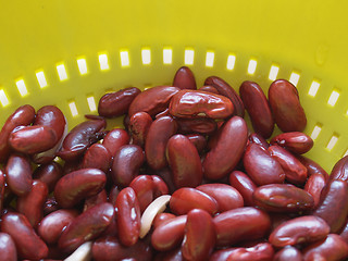 Image showing Kidney beans legumes vegetables