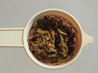 Image showing Gunpowder green tea in London