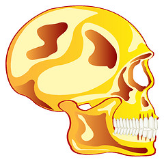 Image showing Skull from gild in profile