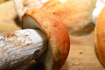 Image showing  Wild mushroom on the table