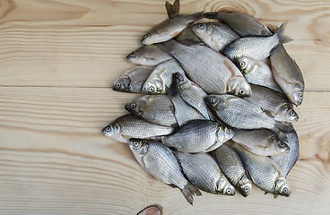 Image showing Fish hooked in the river on a table surface.