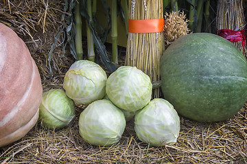 Image showing Vegetable harvest is sold at the fair.
