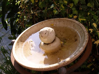 Image showing bird bath