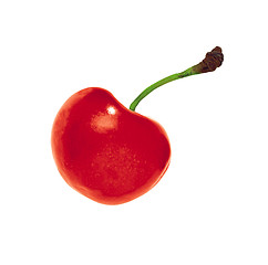 Image showing cherry