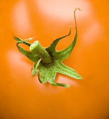 Image showing Yellow tomatoe texture