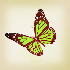 Image showing Butterfly. 3D illustration. Vintage style.