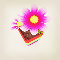 Image showing beautiful flower in the colorful pot. 3D illustration. Vintage s