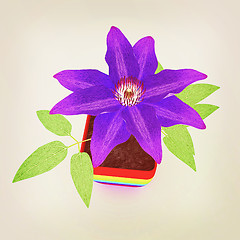 Image showing Clematis a beautiful flower in the colorful pot. 3D illustration