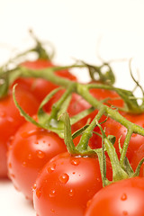 Image showing tomatoes