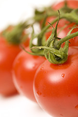 Image showing tomatoes