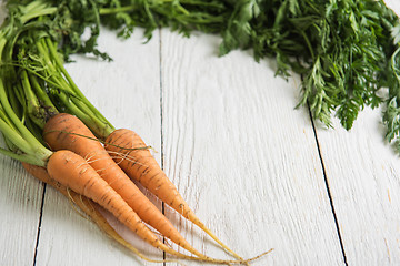 Image showing Freshly grown carrots