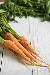 Image showing Freshly grown carrots