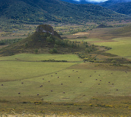 Image showing Altay mountains in Siberia