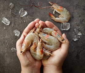 Image showing fresh raw prawns