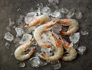 Image showing fresh raw prawns and ice