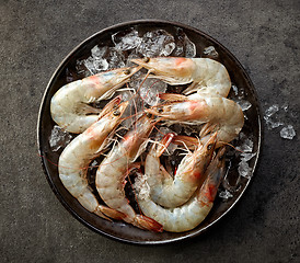 Image showing fresh raw prawns and ice