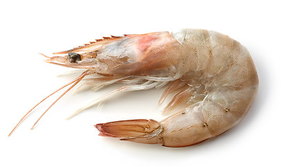 Image showing fresh raw prawn