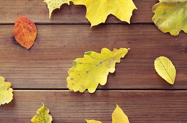 Image showing close up of many different fallen autumn leaves