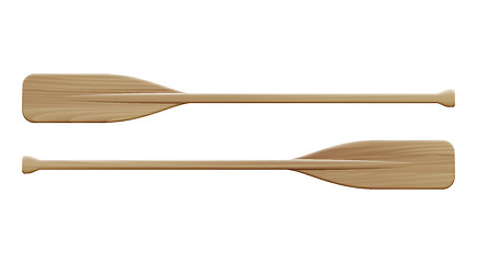 Image showing Two wooden paddles. Sport oars.